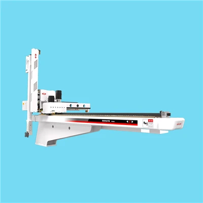 AC Servo Molding Injection Manipulator